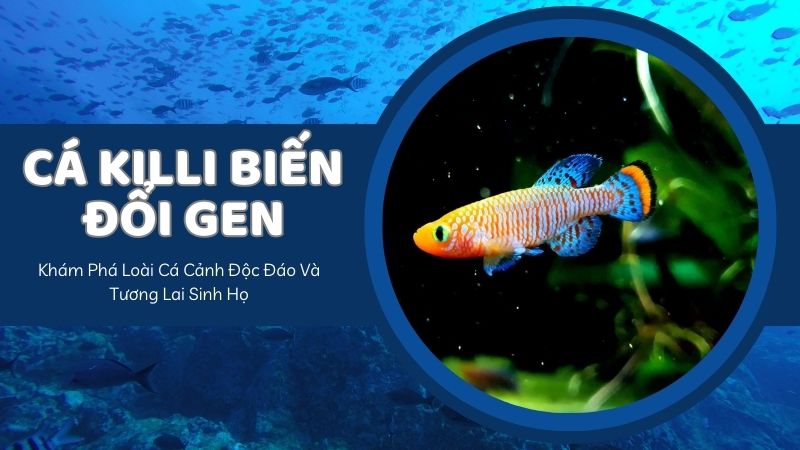 Cá Killi Biến Đổi Gen: Khám Phá Loài Cá Cảnh Độc Đáo Và Tương Lai Sinh Họ