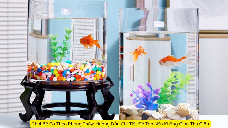 Chơi Bể Cá Theo Phong Thủy: Hướng Dẫn Chi Tiết Để Tạo Nên Không Gian Thư Giãn