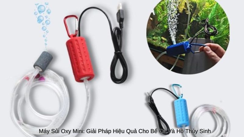 Máy Sủi Oxy Mini: Giải Pháp Hiệu Quả Cho Bể Cá Và Hồ Thủy Sinh