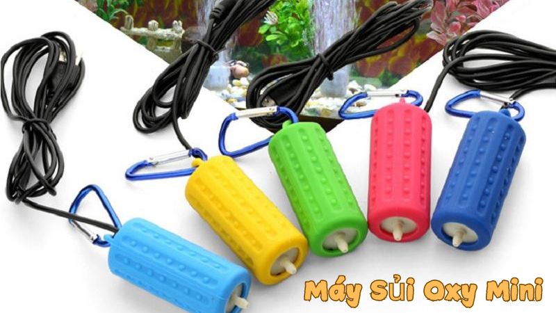 Máy Sủi Oxy Mini: Giải Pháp Hiệu Quả Cho Bể Cá Và Hồ Thủy Sinh