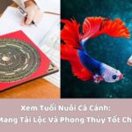 Xem Tuổi Nuôi Cá Cảnh Bí Quyết Mang Tài Lộc Và Phong Thủy Tốt Cho Gia Đình